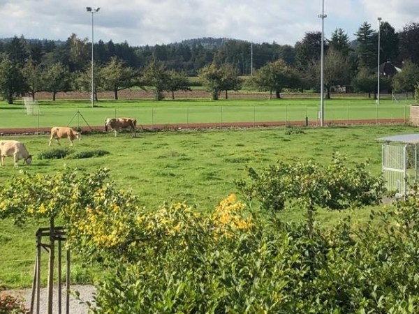 Ein neuer Doppel-Kindergarten?