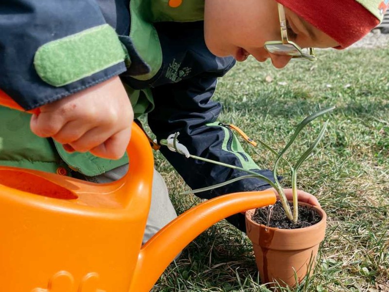 Schneeglöggli lüüt, de Früelig chont no&nbsp;hüt!