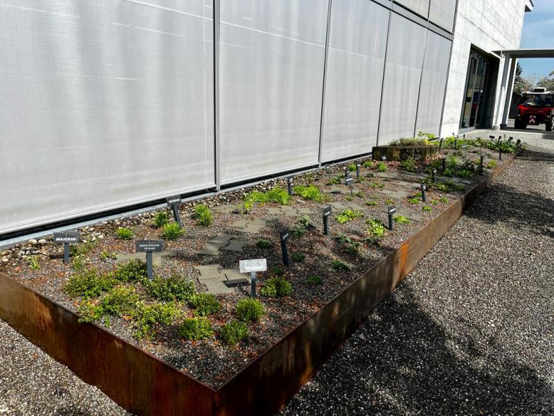 Ein Kräuterbeet für&nbsp;Alle