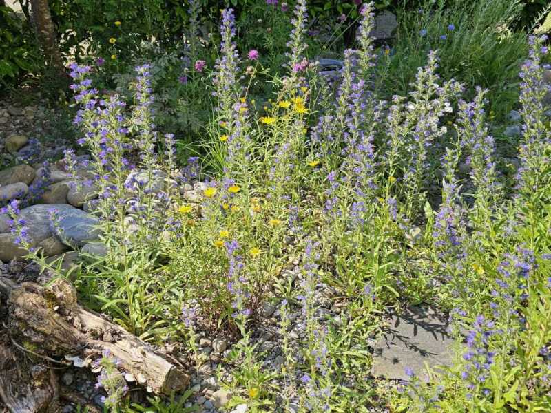 Herzliche Einladung zum&nbsp;Gartenapéro